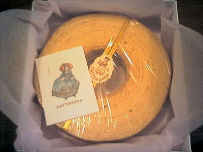 学芸大学　マッターホーン